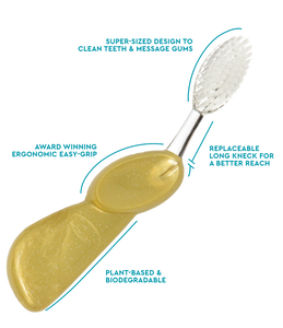 The Big Brush™ with Replaceable Head