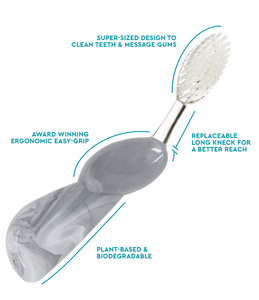 The Big Brush™ with Replaceable Head