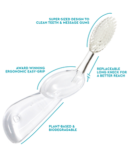 The Big Brush™ with Replaceable Head